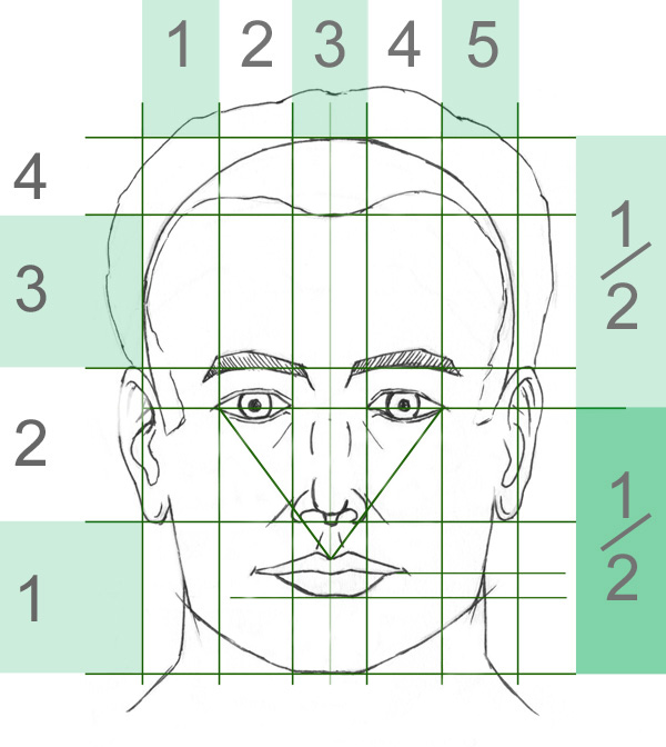 Learn to draw a portrait / face in the front view