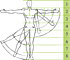 Learn to draw the human figure
