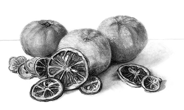 How to draw a Still Life with Charcoal